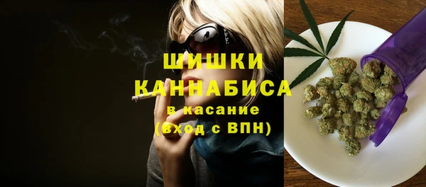 крисы Заводоуковск
