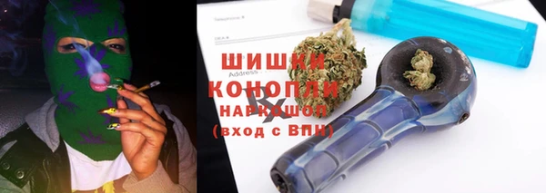 крисы Заводоуковск
