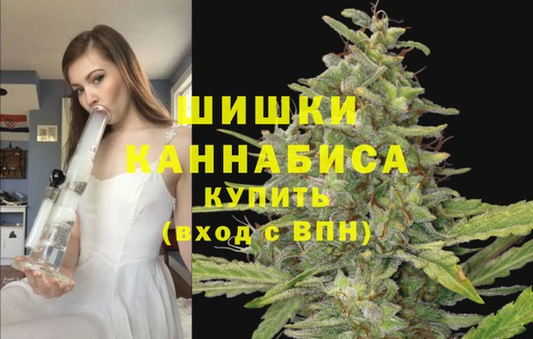 крисы Заволжск