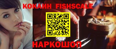дмт Кингисепп
