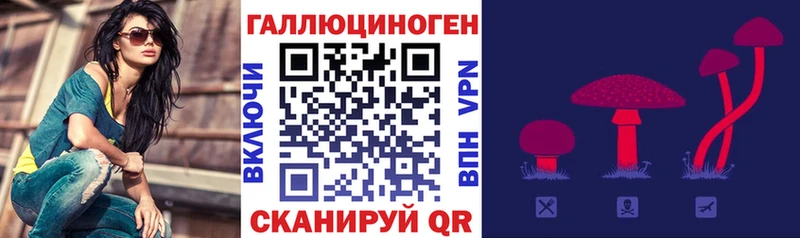 Псилоцибиновые грибы GOLDEN TEACHER  Зеленокумск 