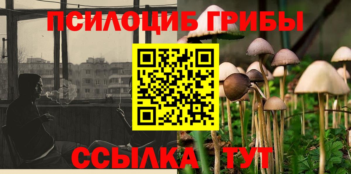 Псилоцибиновые грибы Magic Shrooms  Вход с VPN  Зеленокумск 