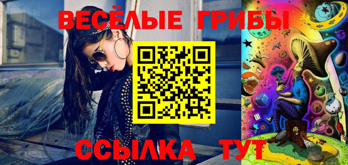 Псилоцибиновые грибы Cubensis Зеленокумск